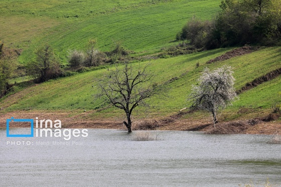 ایران زیباست | سد گلورد