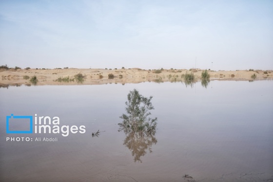 گزارش تصویری | ورود آب به سیستان پس از سال‌ها خشکسالی