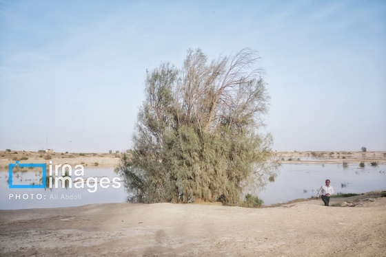گزارش تصویری | ورود آب به سیستان پس از سال‌ها خشکسالی
