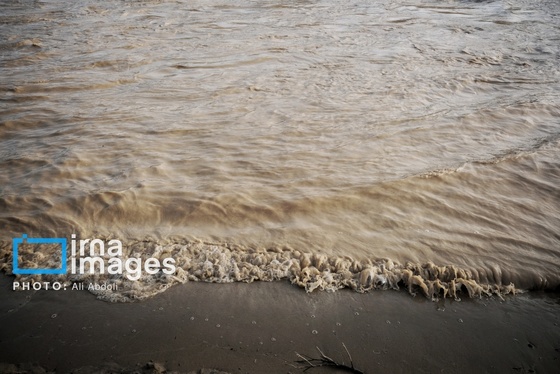 گزارش تصویری | ورود آب به سیستان پس از سال‌ها خشکسالی