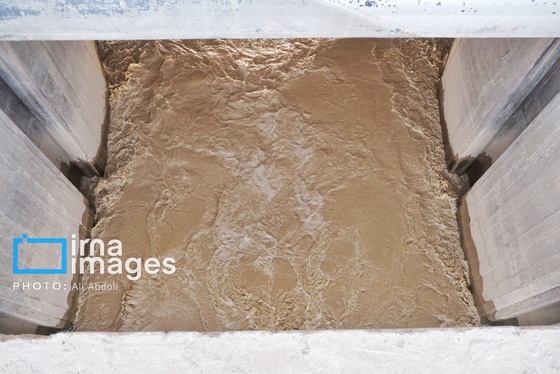 گزارش تصویری | ورود آب به سیستان پس از سال‌ها خشکسالی