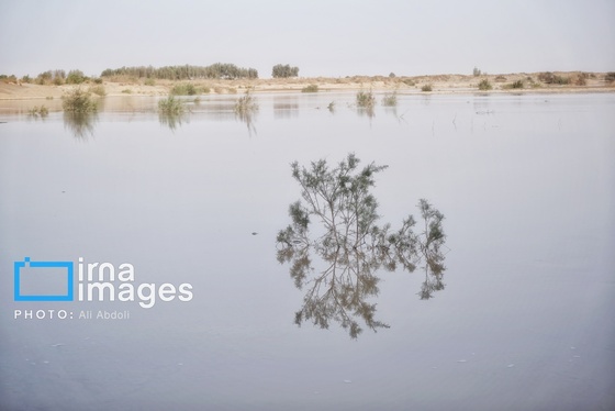 گزارش تصویری | ورود آب به سیستان پس از سال‌ها خشکسالی