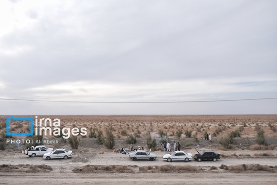 گزارش تصویری | ورود آب به سیستان پس از سال‌ها خشکسالی