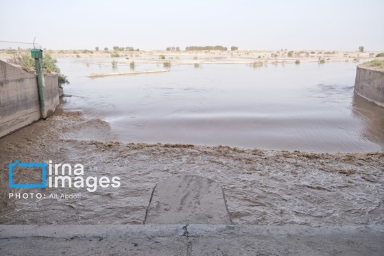گزارش تصویری | ورود آب به سیستان پس از سال‌ها خشکسالی