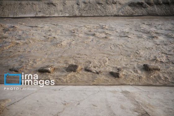 گزارش تصویری | ورود آب به سیستان پس از سال‌ها خشکسالی