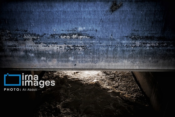 گزارش تصویری | ورود آب به سیستان پس از سال‌ها خشکسالی