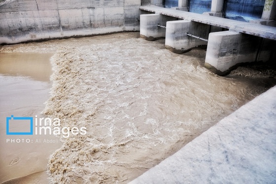 گزارش تصویری | ورود آب به سیستان پس از سال‌ها خشکسالی