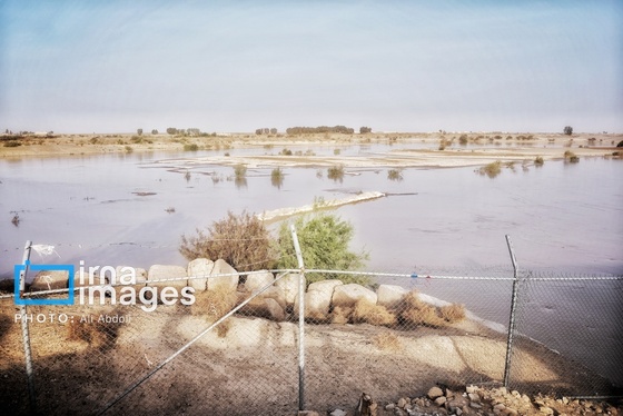 گزارش تصویری | ورود آب به سیستان پس از سال‌ها خشکسالی