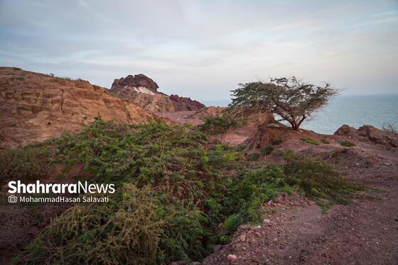 گزارش تصویری | ایران ؛ صدای ما را از حوالی تنگه هرمز می شنوید