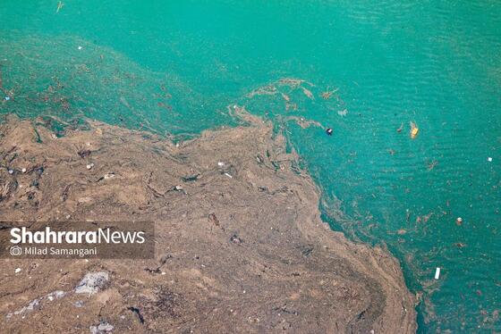 گزارش تصویری | طبیعت بهاری و وضعیت ذخیره سد طرق مشهد