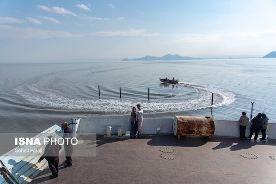 گزارش تصویری | بارندگی، روزنه امید دریاچه ارومیه