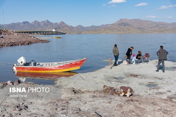 گزارش تصویری | بارندگی، روزنه امید دریاچه ارومیه