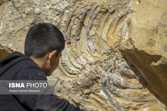 ایران زیباست | لیوس؛ روستایی از دل سنگ