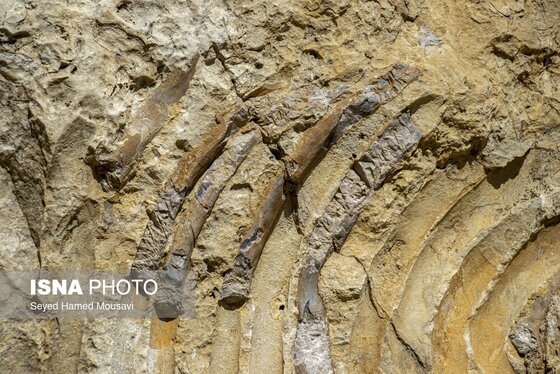 ایران زیباست | لیوس؛ روستایی از دل سنگ