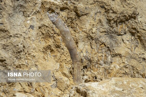 ایران زیباست | لیوس؛ روستایی از دل سنگ