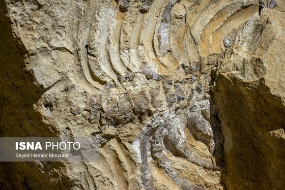 ایران زیباست | لیوس؛ روستایی از دل سنگ