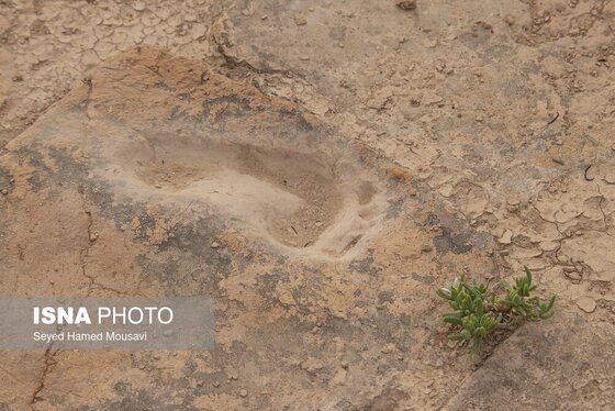 ایران زیباست | زیگورات چغازنبیل؛ شاهکار معماری آجری ایرانی