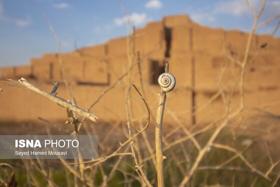 ایران زیباست | زیگورات چغازنبیل؛ شاهکار معماری آجری ایرانی