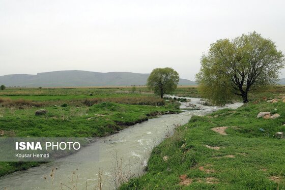 ایران زیباست | طبیعت بهاری تالاب «هشیلان» - کرمانشاه