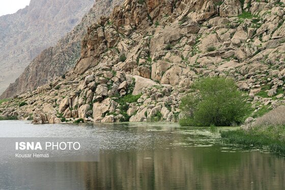ایران زیباست | طبیعت بهاری تالاب «هشیلان» - کرمانشاه