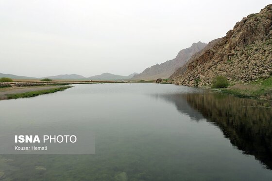 ایران زیباست | طبیعت بهاری تالاب «هشیلان» - کرمانشاه