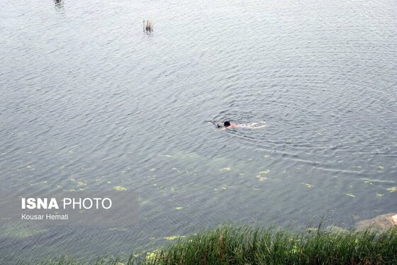 ایران زیباست | طبیعت بهاری تالاب «هشیلان» - کرمانشاه