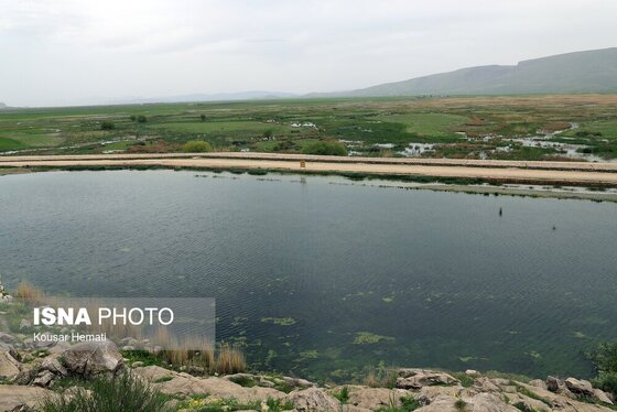 ایران زیباست | طبیعت بهاری تالاب «هشیلان» - کرمانشاه