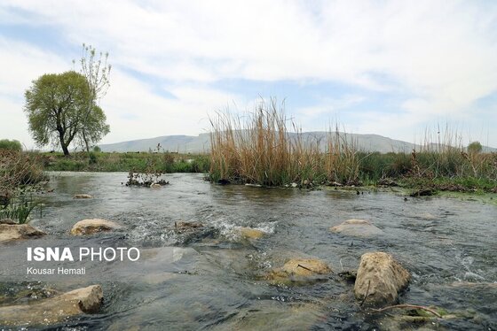 ایران زیباست | طبیعت بهاری تالاب «هشیلان» - کرمانشاه