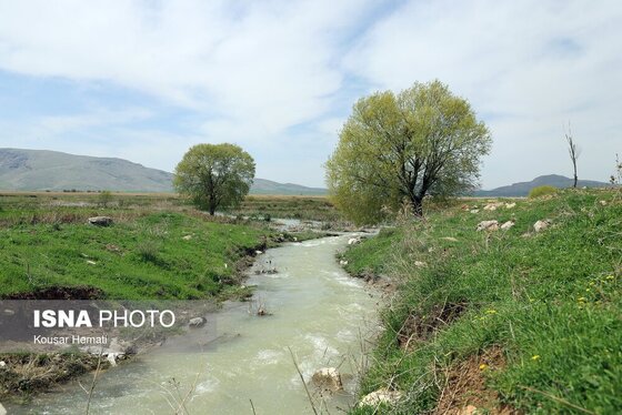 ایران زیباست | طبیعت بهاری تالاب «هشیلان» - کرمانشاه