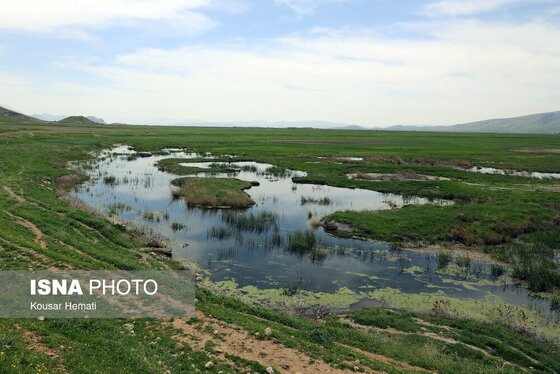 ایران زیباست | طبیعت بهاری تالاب «هشیلان» - کرمانشاه