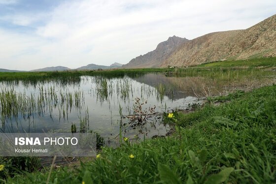 ایران زیباست | طبیعت بهاری تالاب «هشیلان» - کرمانشاه