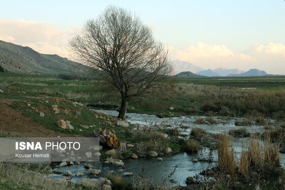 ایران زیباست | طبیعت بهاری تالاب «هشیلان» - کرمانشاه