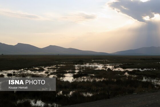 ایران زیباست | طبیعت بهاری تالاب «هشیلان» - کرمانشاه