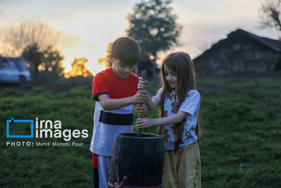 گزارش تصویری | زندگی در قلب جنگل های هیرکانی