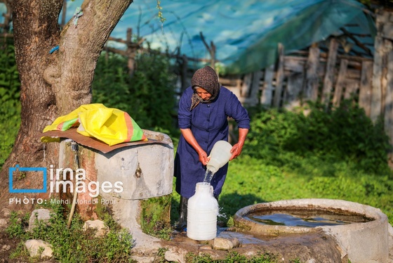 گزارش تصویری | زندگی در قلب جنگل های هیرکانی