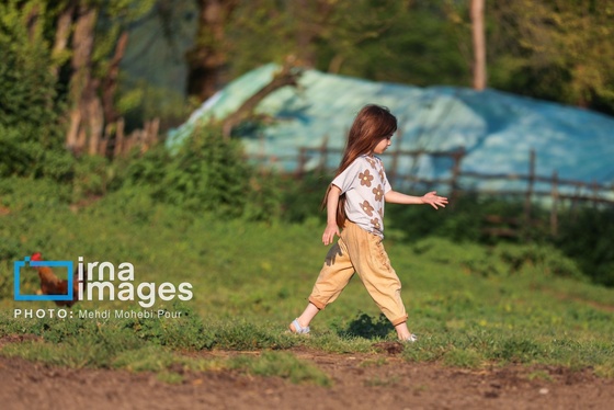 گزارش تصویری | زندگی در قلب جنگل های هیرکانی