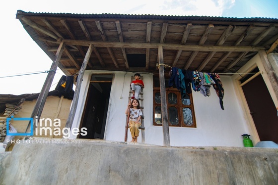 گزارش تصویری | زندگی در قلب جنگل های هیرکانی