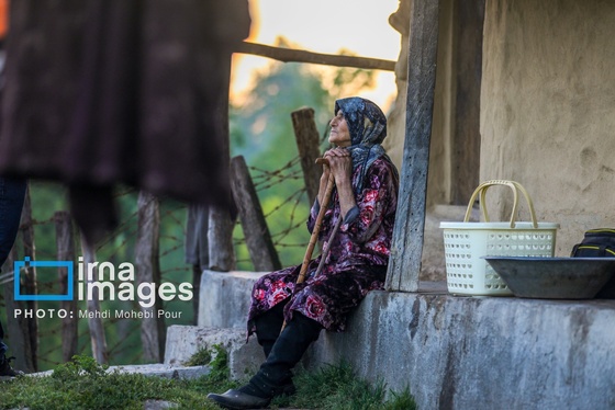 گزارش تصویری | زندگی در قلب جنگل های هیرکانی