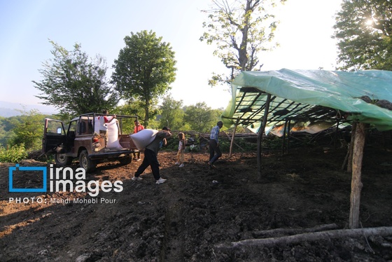 گزارش تصویری | زندگی در قلب جنگل های هیرکانی