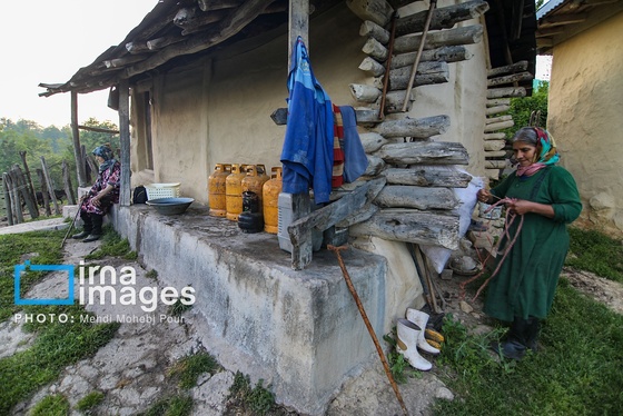 گزارش تصویری | زندگی در قلب جنگل های هیرکانی