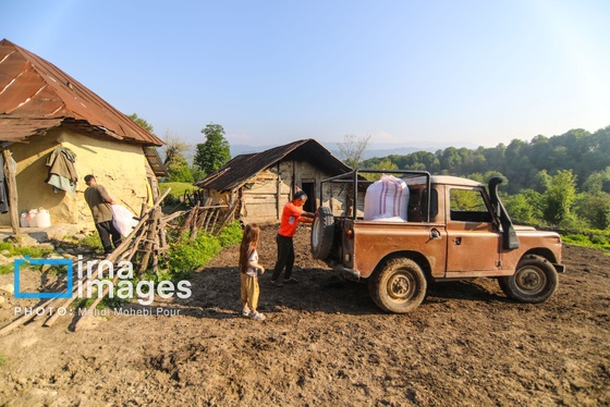 گزارش تصویری | زندگی در قلب جنگل های هیرکانی