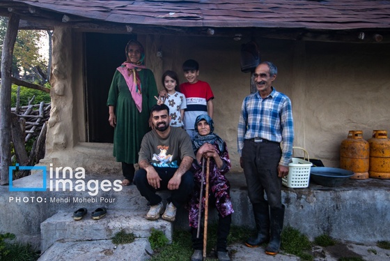 گزارش تصویری | زندگی در قلب جنگل های هیرکانی