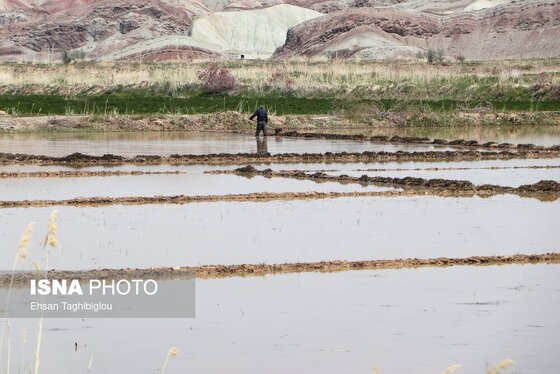گزارش تصویری | پر آب شدن رودخانه دائمی قزل اوزن