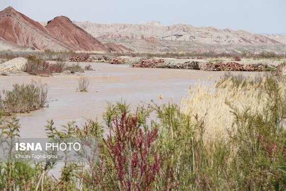 گزارش تصویری | پر آب شدن رودخانه دائمی قزل اوزن