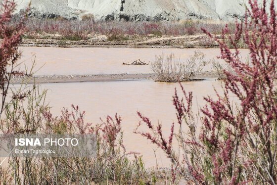 گزارش تصویری | پر آب شدن رودخانه دائمی قزل اوزن