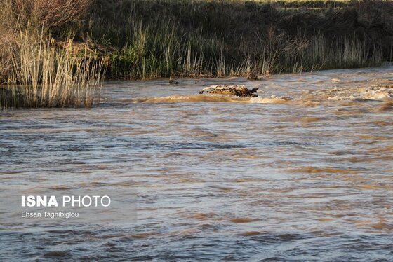 گزارش تصویری | پر آب شدن رودخانه دائمی قزل اوزن