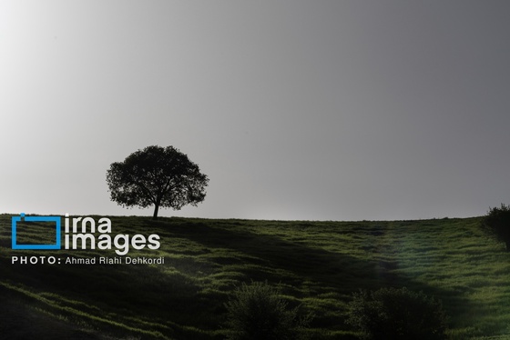 ایران زیباست | جلوه های بهاری در مشایخ