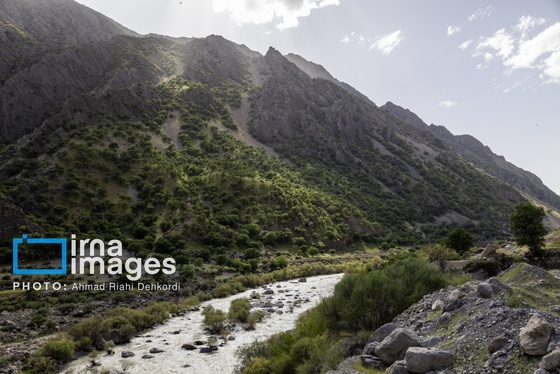 ایران زیباست | جلوه های بهاری در مشایخ