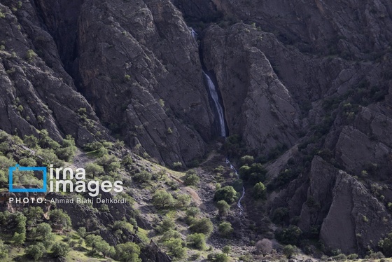 ایران زیباست | جلوه های بهاری در مشایخ