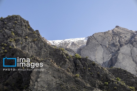 ایران زیباست | جلوه های بهاری در مشایخ